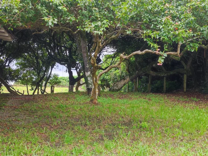 Terreno à venda no Estaleirinho